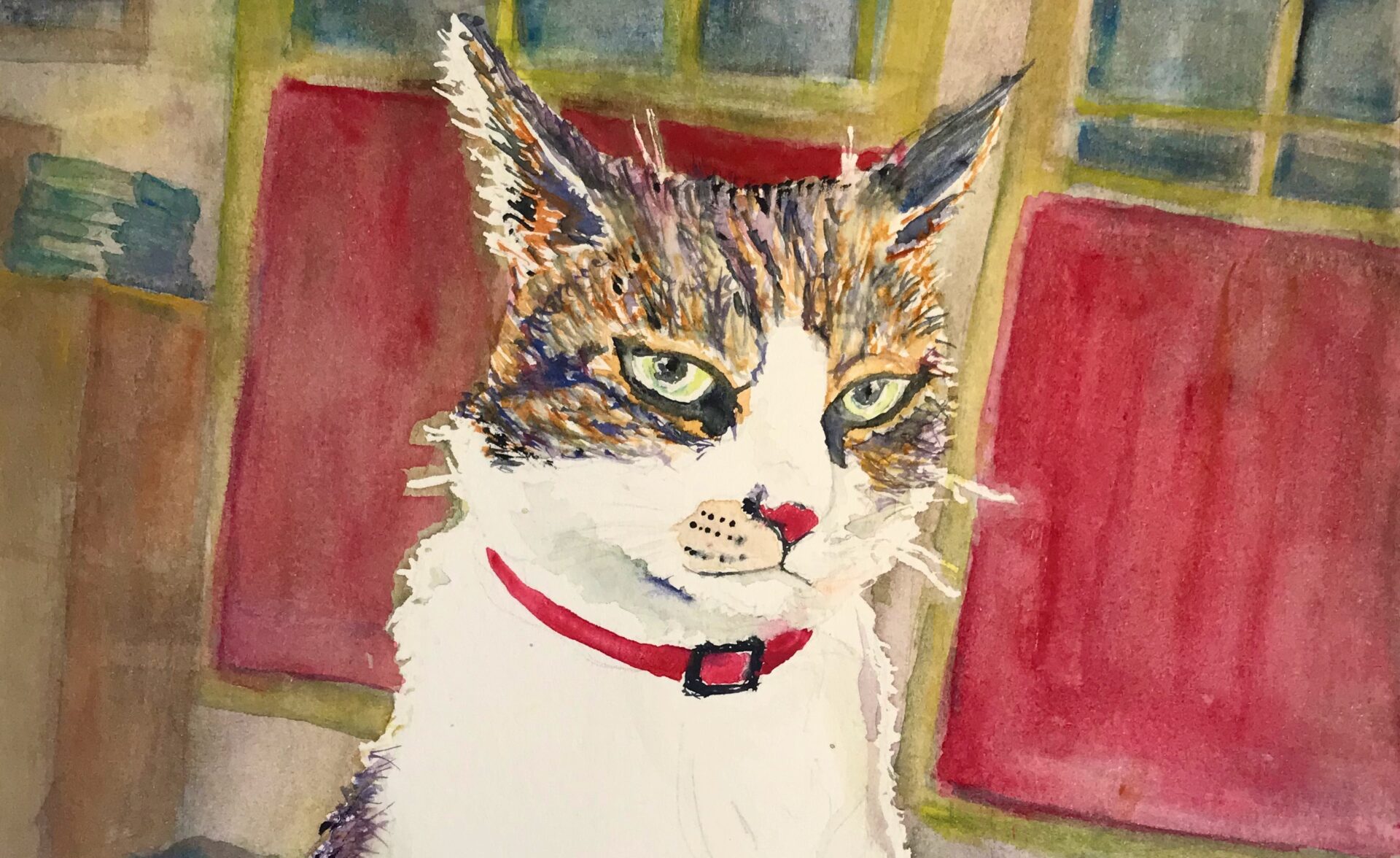 cat